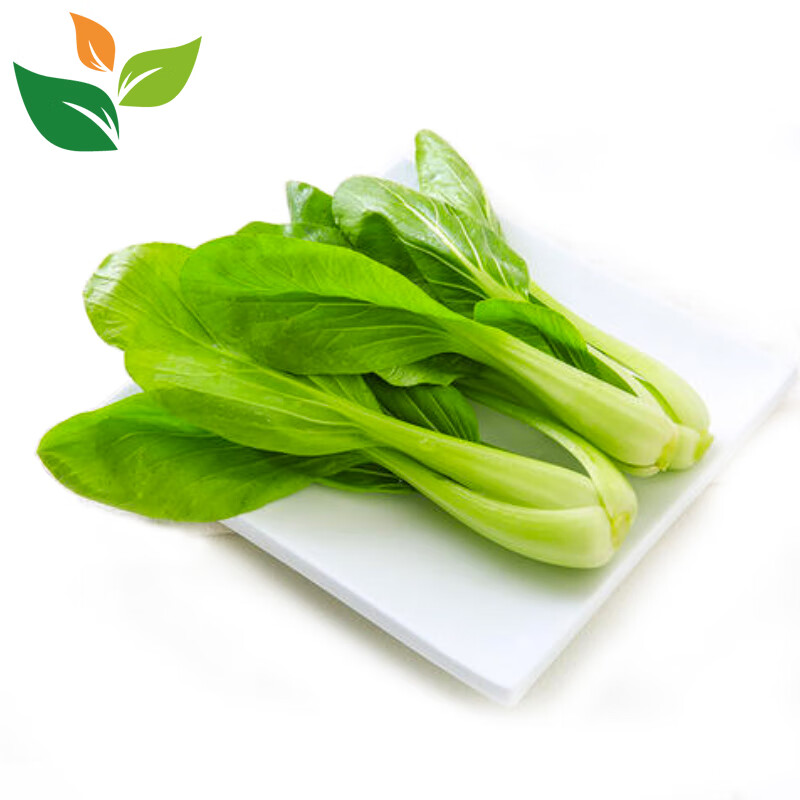 有机小油菜1斤装 上海青 有机认证新鲜蔬菜 健康食材汇无农残激素
