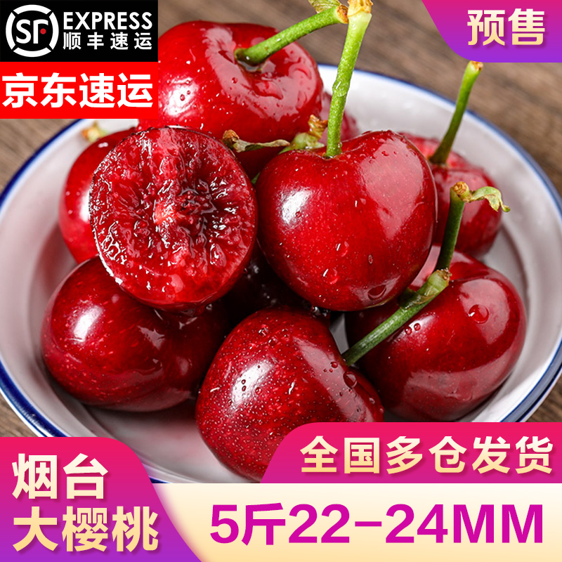 山东烟台大樱桃  国产车厘子 大果 新鲜时令生鲜水果大樱桃 樱桃5斤（22-24mm）