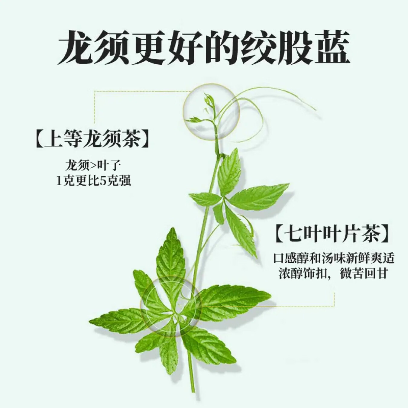 平利绞股蓝【正宗】平利绞股蓝龙须无糖礼盒茶 精选定制礼盒420克