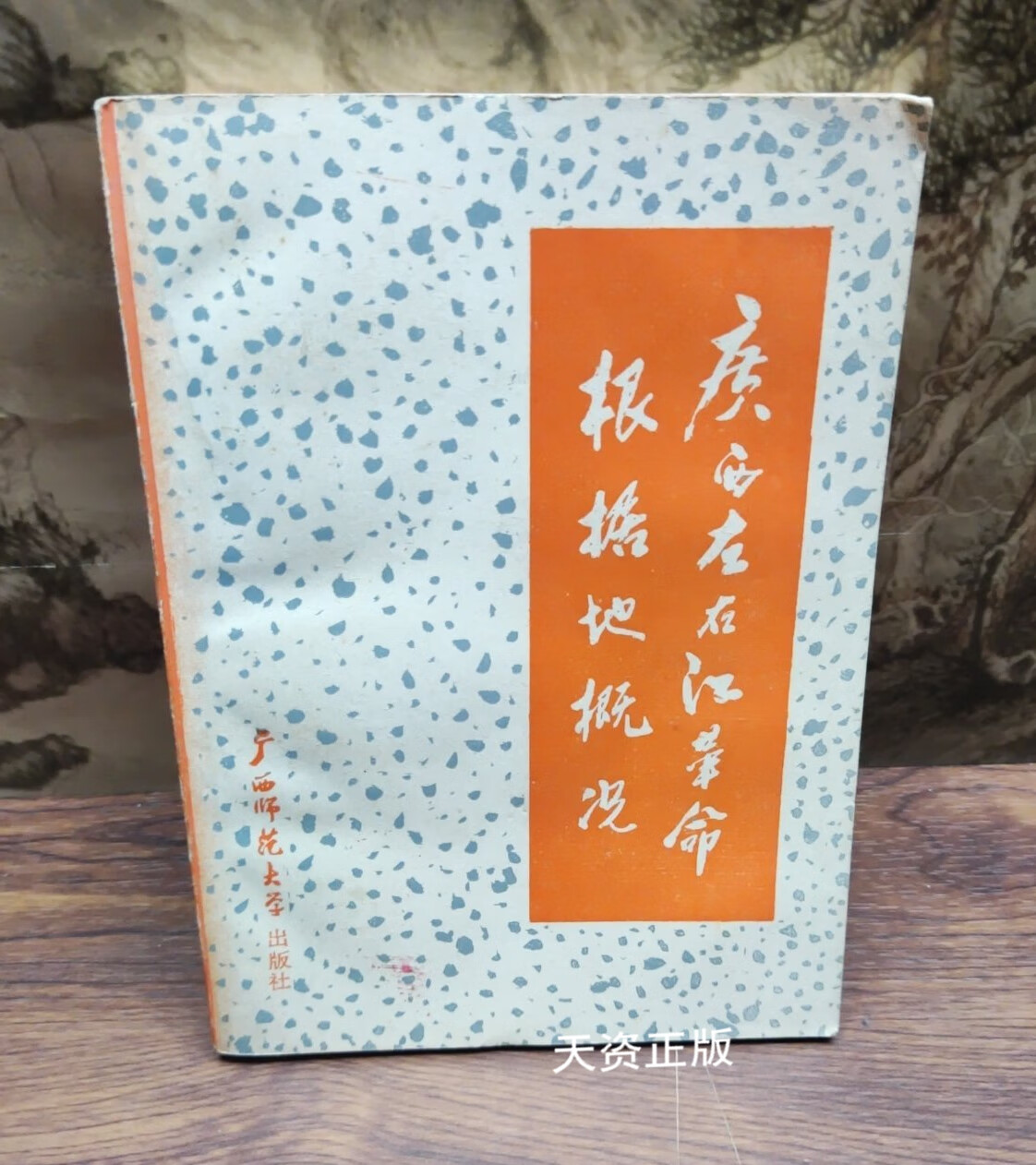 广西左右江革命根据地概况 徐方治,谭纪主编;蒋文华著