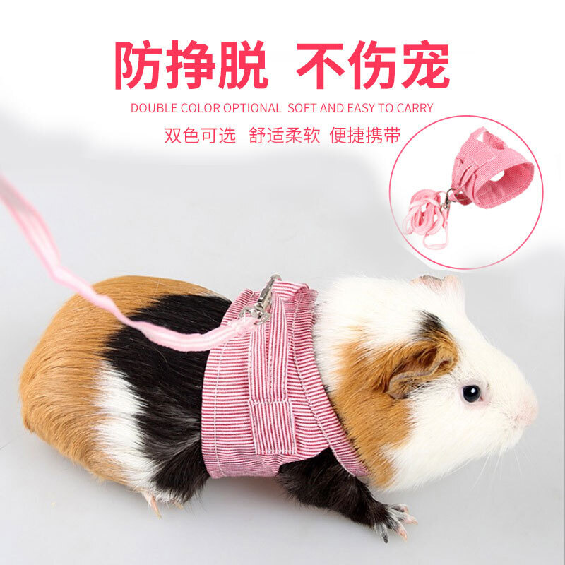 仓鼠衣服小宠胸背带大仓鼠松鼠的小衣服不勒背带式马甲背心牵引绳可调