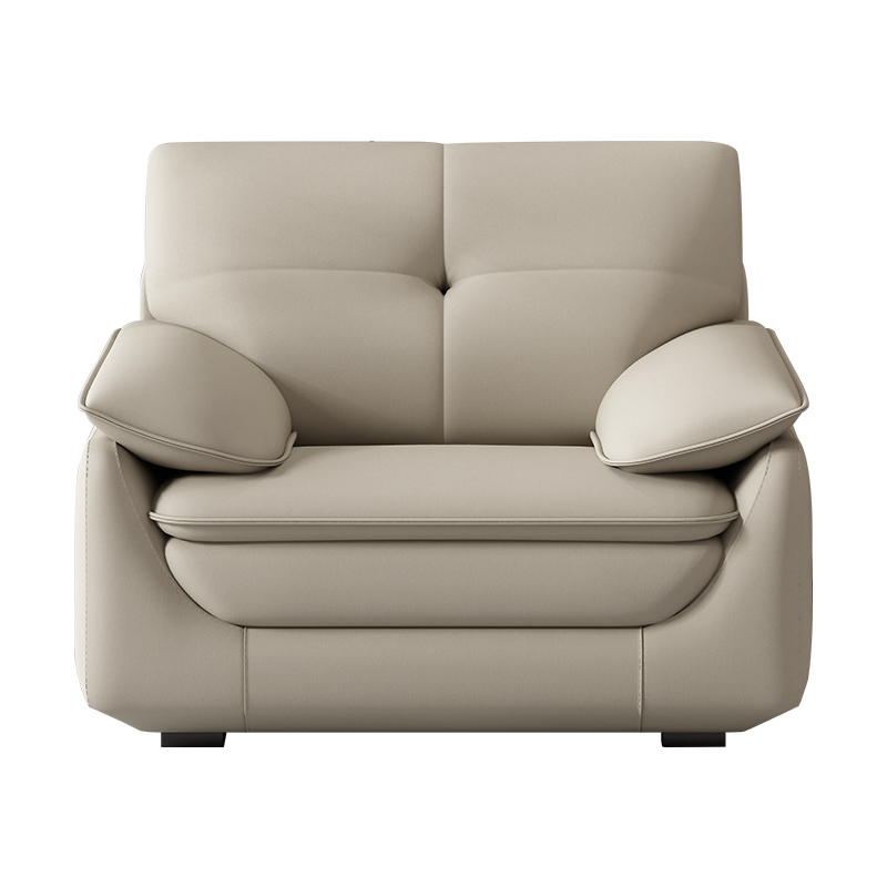 中尊 现代简约冬夏两用布艺沙发客厅整装可拆洗北欧大小户型凉席免洗科技布沙发 直排单人位