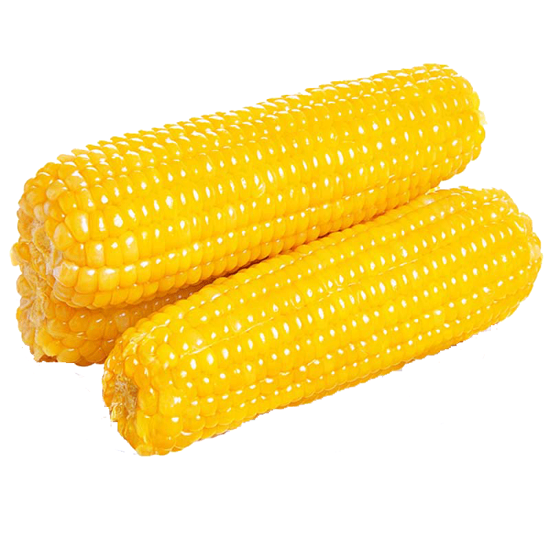 ١��������Ŵ���� ������Ŵ���װ� ������հ�װ����������� ������Ŵ����200g*10