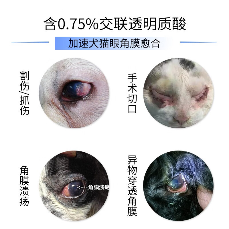 【顺丰空运】美国闪粹修复凝胶宠物猫狗角膜腐骨溃疡干眼症人造泪滴眼液 闪粹5ml(角膜滴眼液)联系客服送礼品 5ml*1瓶