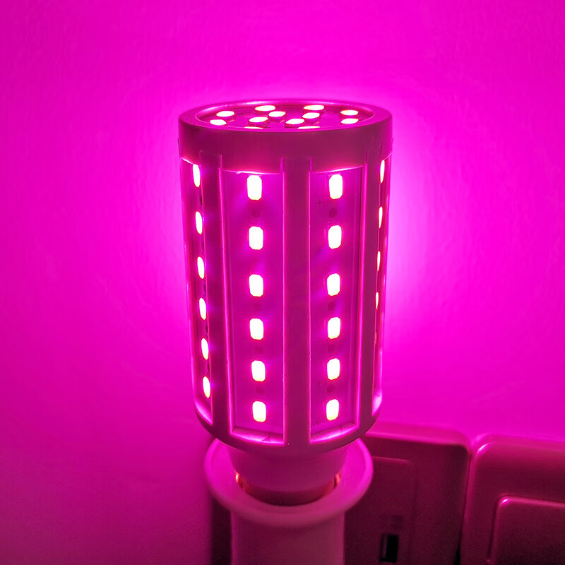 朗森罗紫色蓝色led灯彩色灯泡e27螺口粉色卧室情调灯装饰拍照补光氛围