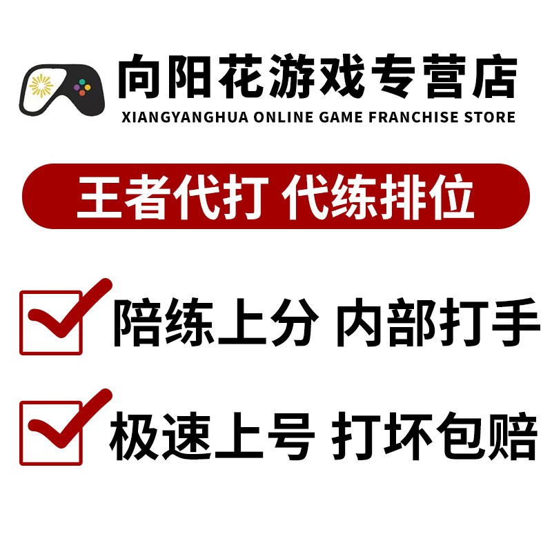 代打排位上分上星陪玩国标小魔方段位带打玩皮肤车队英雄战力巅峰赛