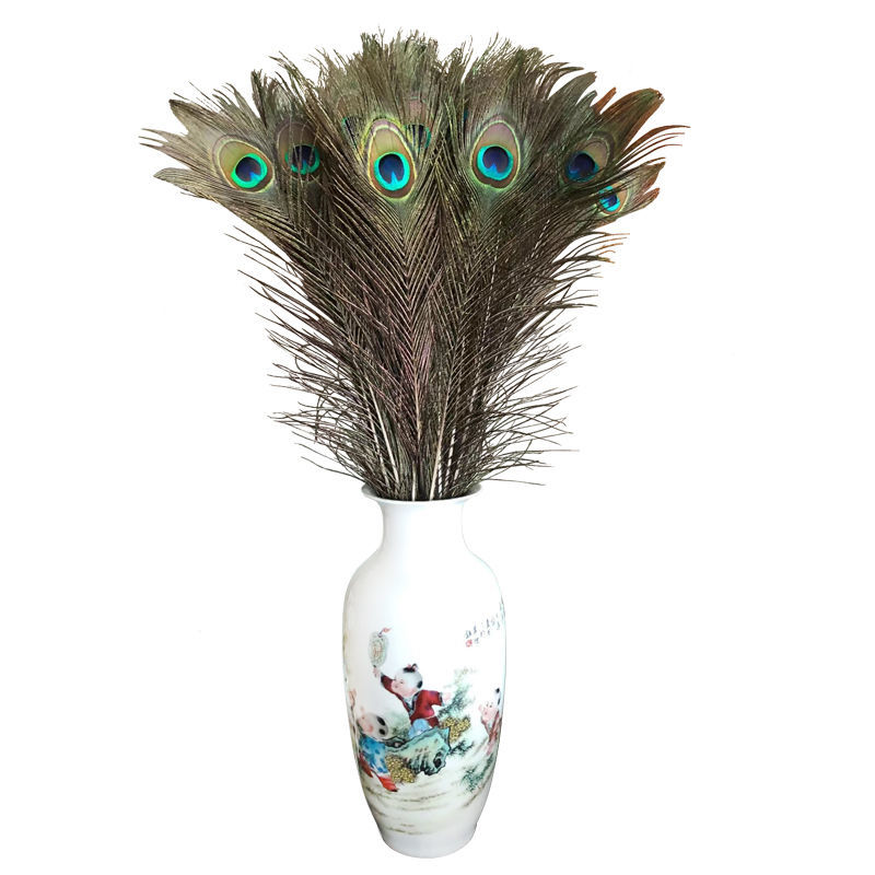 萌依儿孔雀尾羽孔雀羽毛婚庆孔雀翎尾天然孔雀毛70120cm多数量精选羽