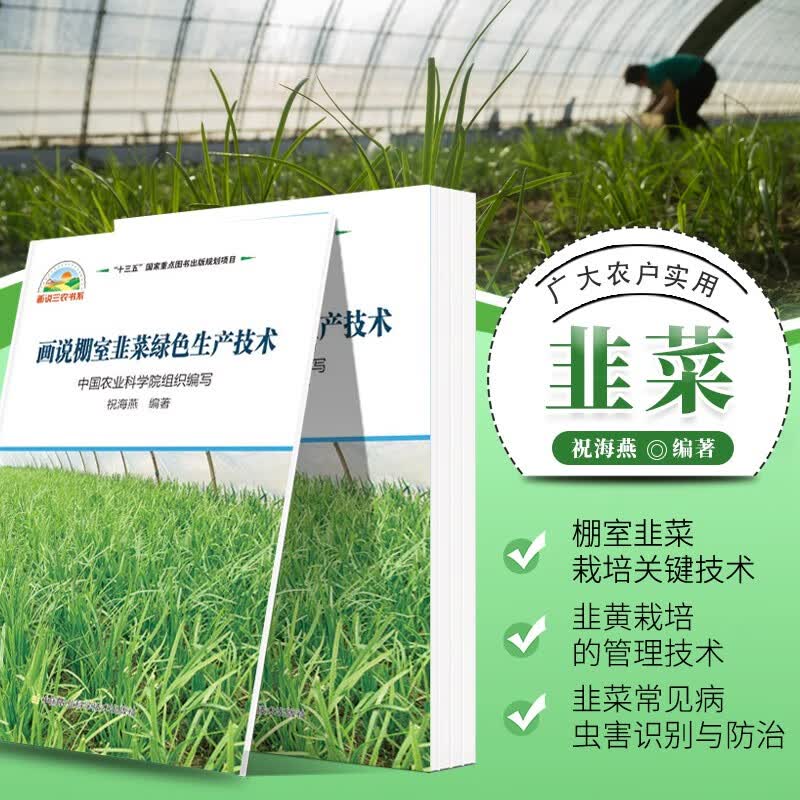画说棚室韭菜绿色生产技术 种菜书籍大全 大棚韭菜种植技术大全蔬菜种植书籍 蔬菜病虫害防治蔬菜病虫害诊断与防治农业书籍