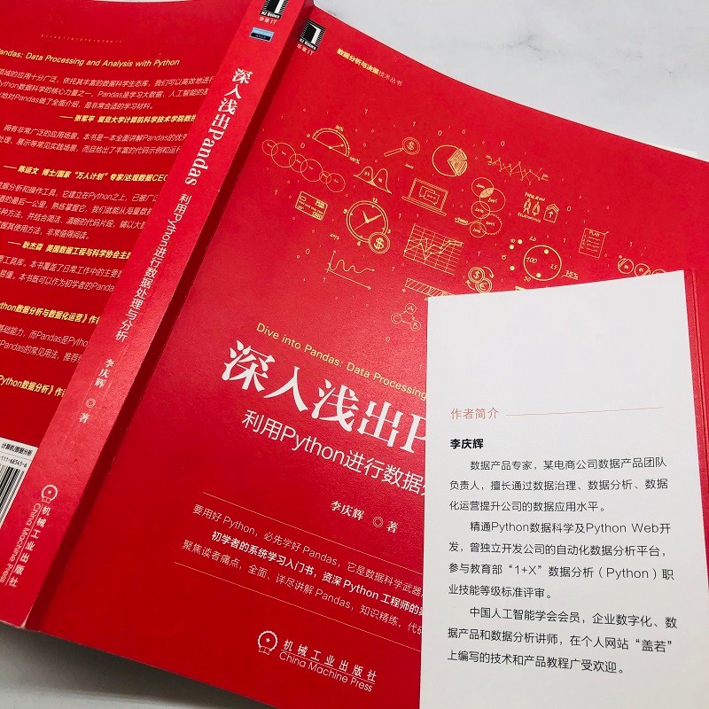 深入浅出Pandas：利用Python进行数据处理与分析详情图
