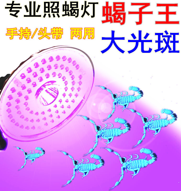 紫光蝎子灯捕照蝎子豆虫捉抓led专用灯强光手电筒头灯 头带专用75紫光