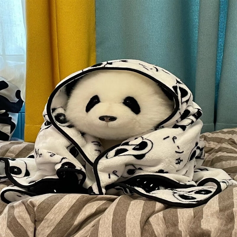 五月龄花花 下单 护毛刷 粘毛器