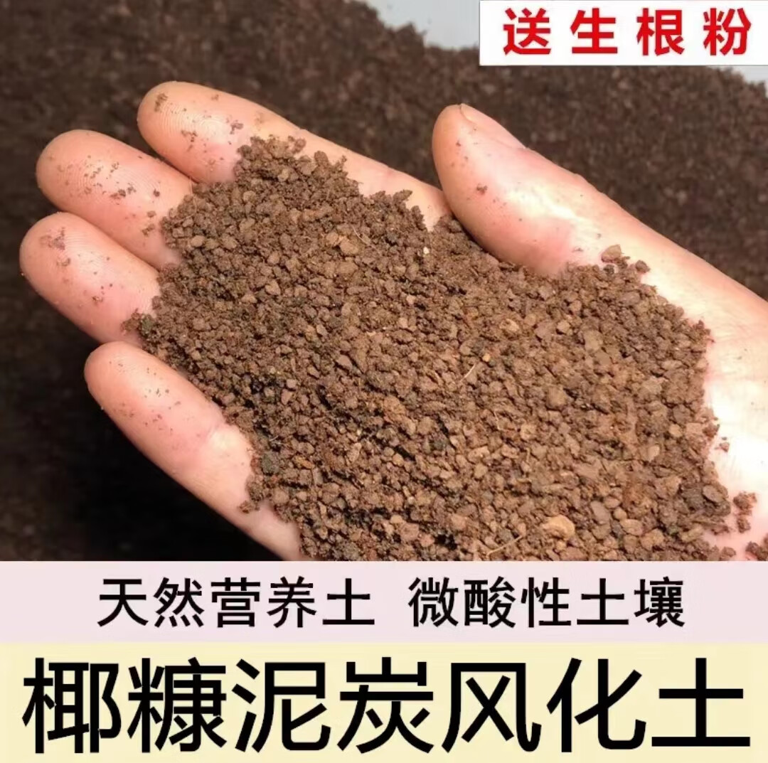 oemg海岛春花土专用土盆景种桩土营养土风化土颗粒土种植土酸土赤玉土