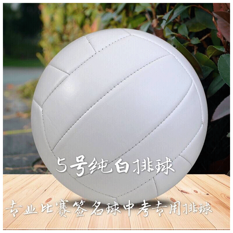 泰瑞格专业签名画画纯白色5号软式排球男女大学生训练中考专用球可定制 白色+气针网兜