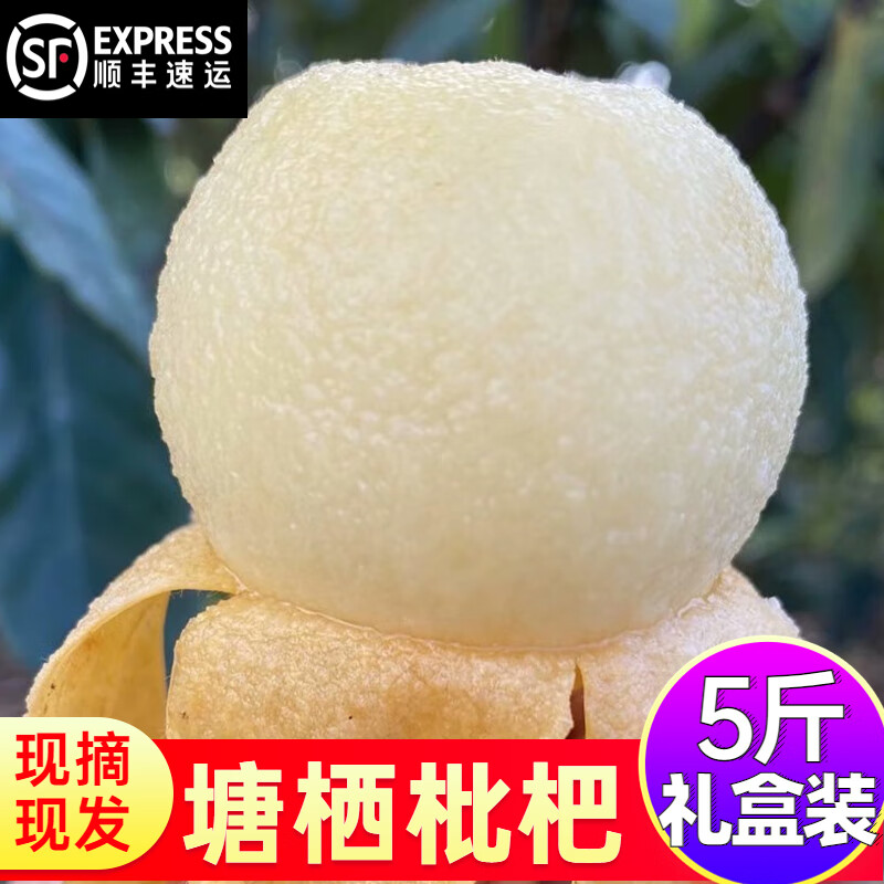 塘栖枇杷白沙枇杷5斤枇杷甜新鲜水果白玉枇杷琵琶孕妇水果当季 1500g