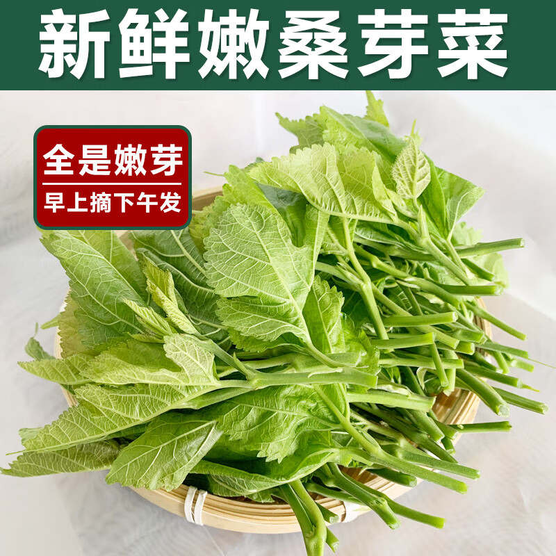 花客悦新鲜桑叶芽桑芽菜嫩桑芽桑嫩苗桑叶菜上汤桑叶酒店特色蔬菜现摘