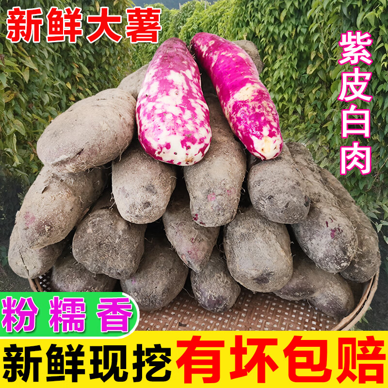 江西赣南紫山药脚板薯 现挖新鲜山药 应当季蔬菜 3斤【紫皮白肉】