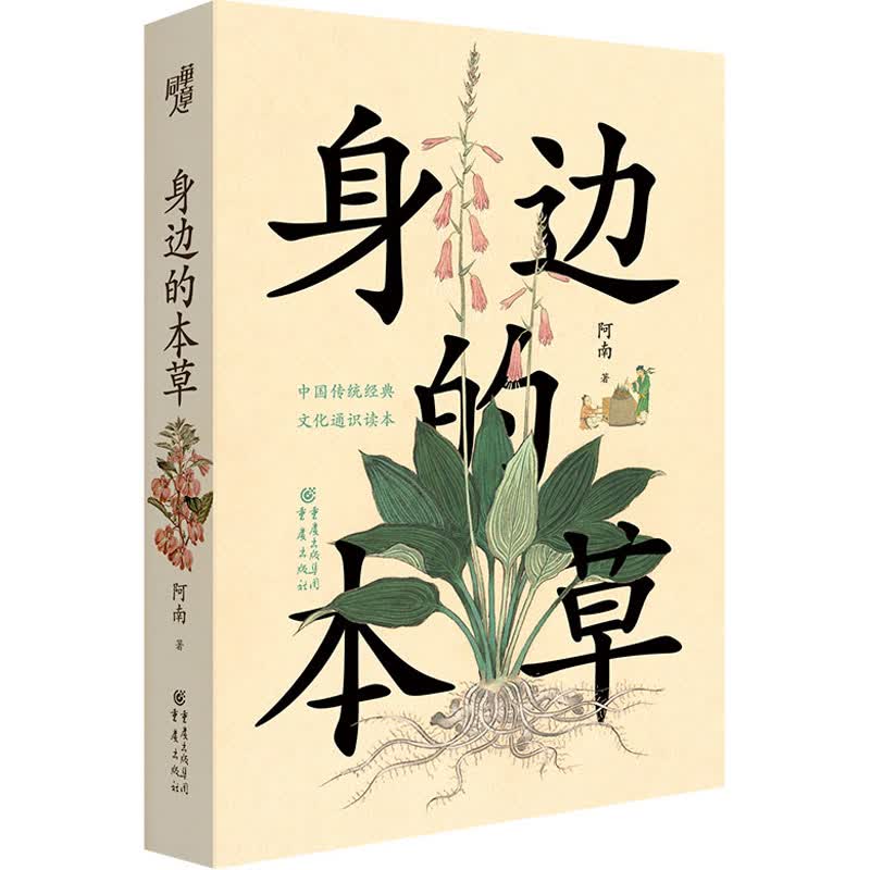 身边的本草 图书