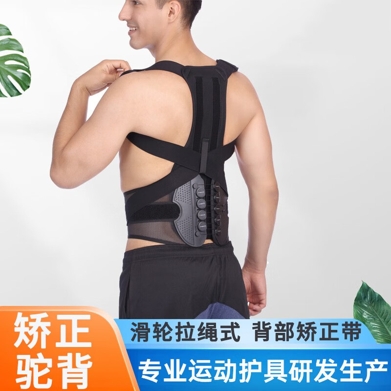 追踪价格趋势,发现巨大商机!