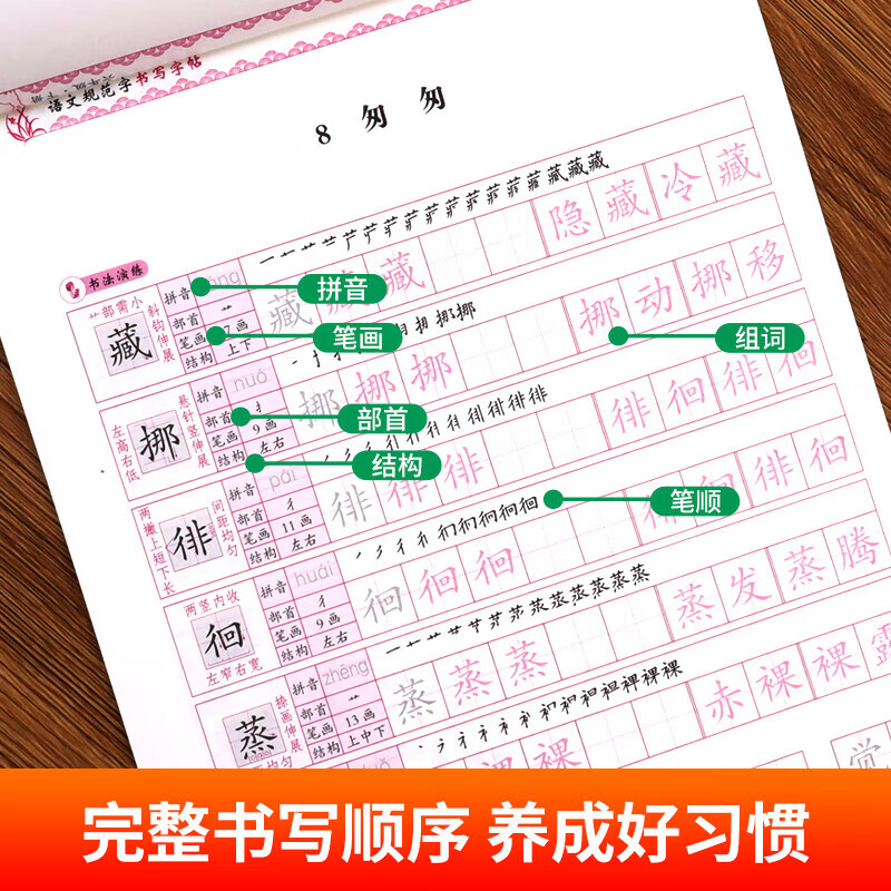 六年级下册语文楷书字帖同步人教版笔画笔顺练字帖 正楷硬笔书法钢笔临摹【官方正版】六年级下册同步字帖 同步字帖 六年级语文下