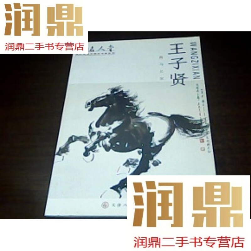 【二手九成新】中国名人堂 当代百名书画艺术家系列~画马名家 王子贤