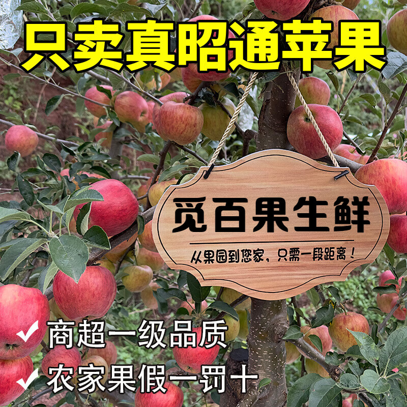 觅百果正宗云南昭通丑苹果冰糖心红富士新鲜水果应季当季整箱 净重9斤【70-80mm】脆甜多汁