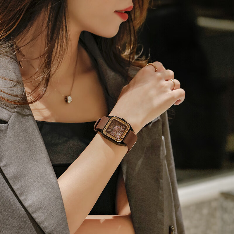 京东怎么查国表历史价格|国表价格走势图