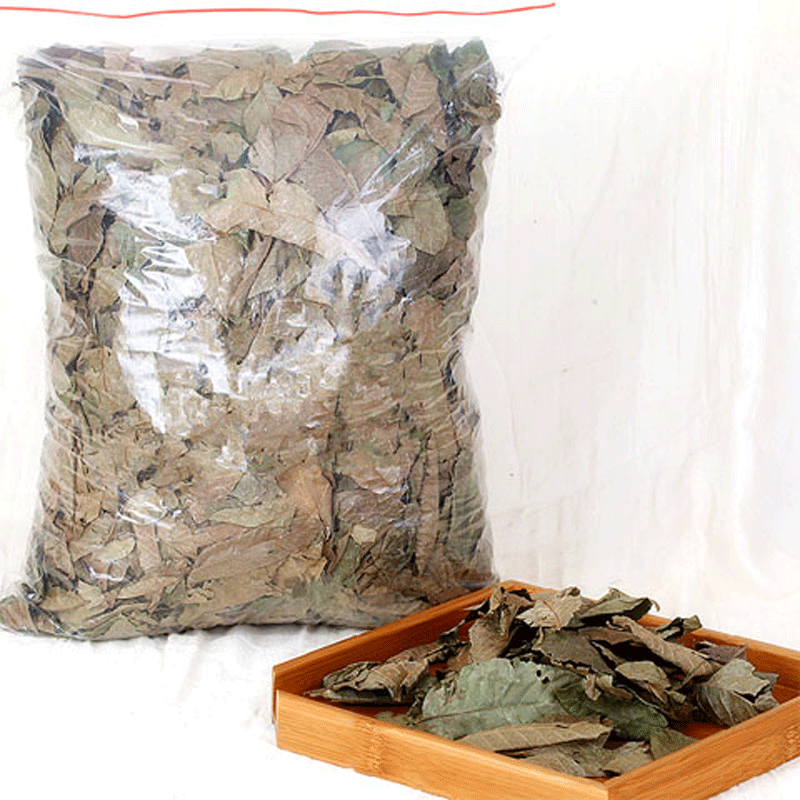 青钱柳叶青钱柳树清金钱柳 500克(一斤)一个疗程(省5元)