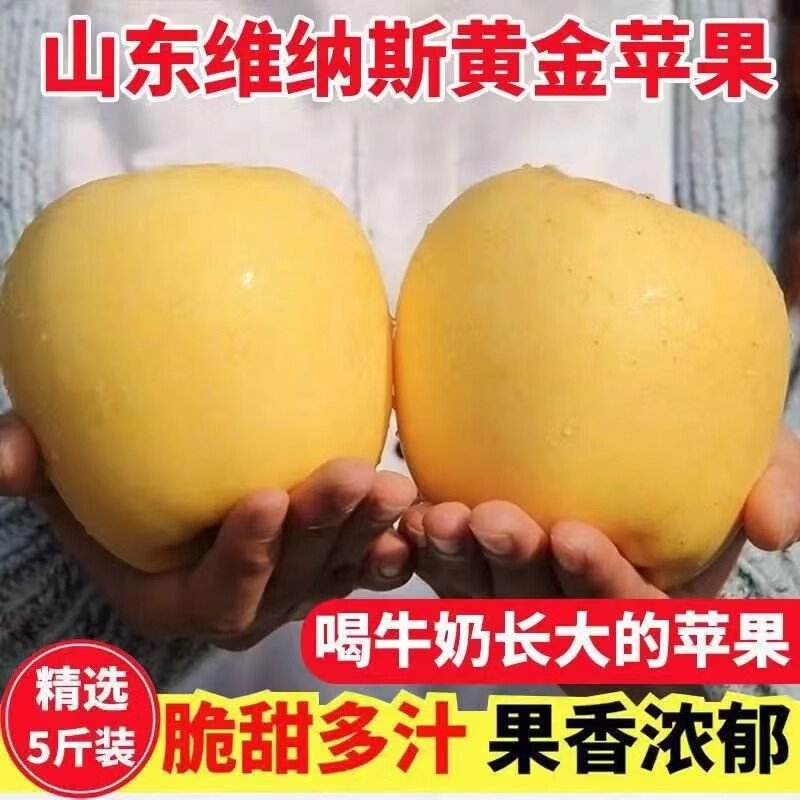 苹果如何查历史价格|苹果价格走势图