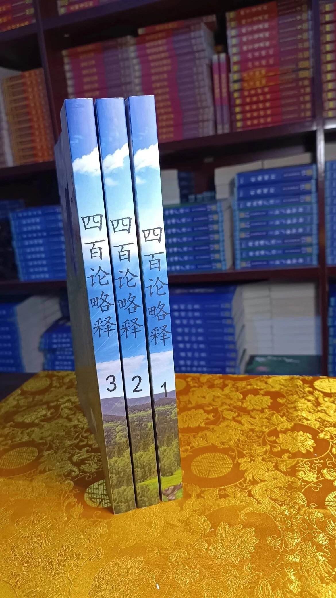 【学习班团】中观四百论讲解 索式传承 生西法师精讲 四百论辅导  16品1044页