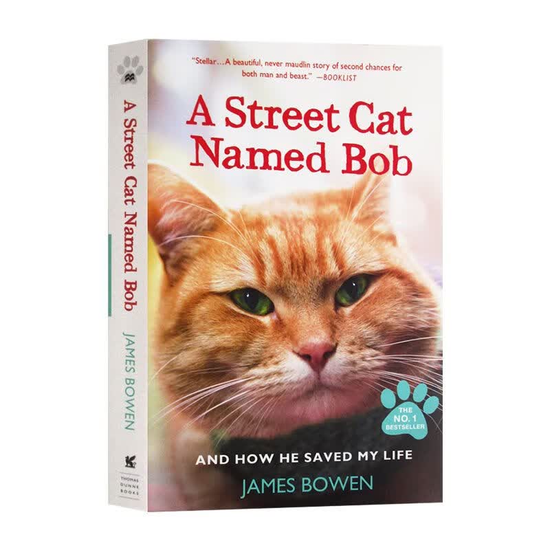 一只名叫鲍勃的流浪猫 英文 A Street Cat Named Bob 同名电影小说 遇见一只猫 一只名叫鲍勃的流浪猫.