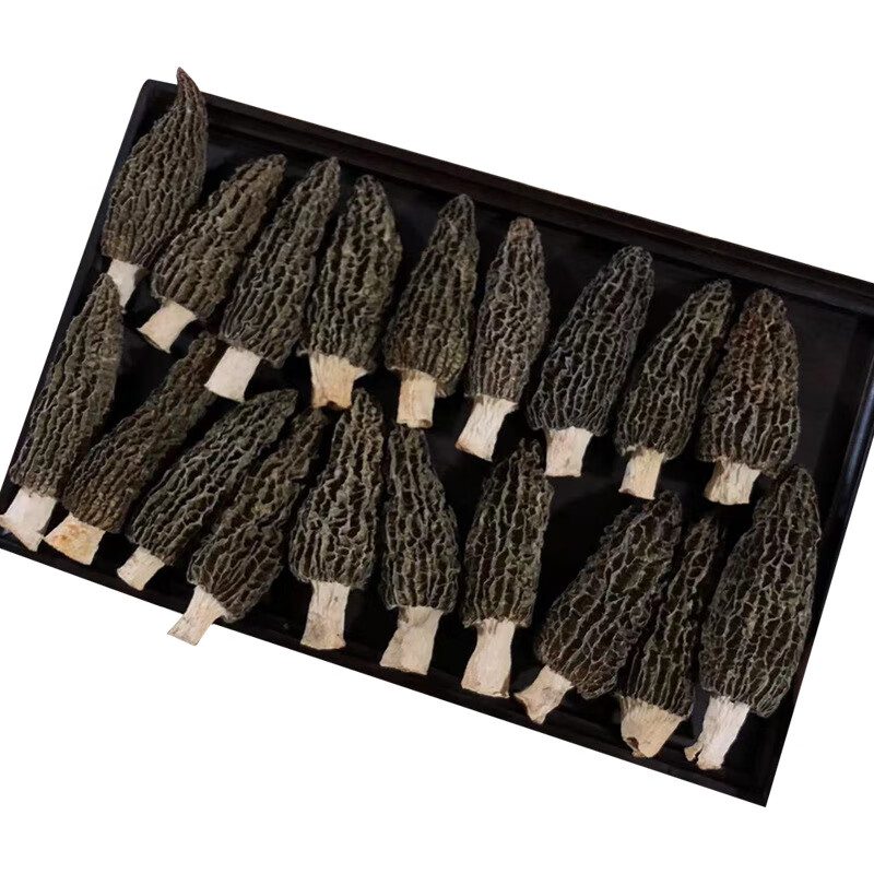 楷美7-9公分七妹菌种羊肚菌150g云南羊肚菌菇汤包煲汤羊肚菌干货批发