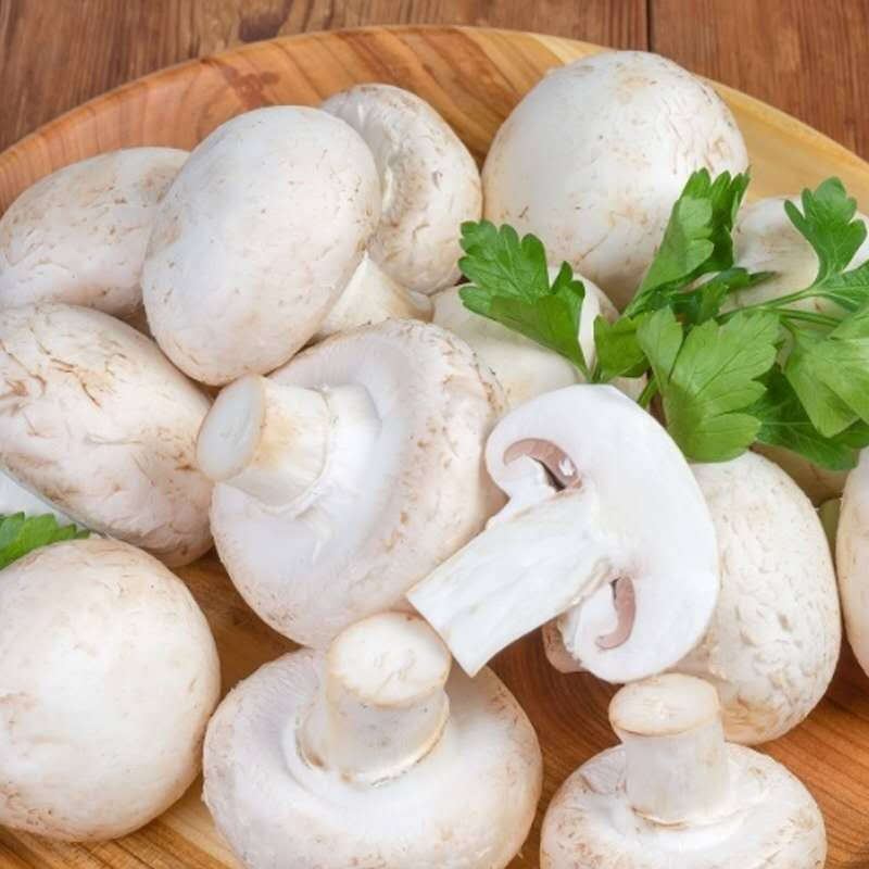 棠鲜生 蘑菇 白蘑菇 新鲜口蘑双孢菇白蘑菇煲汤食用菌菇煎烤蘑菇蔬菜