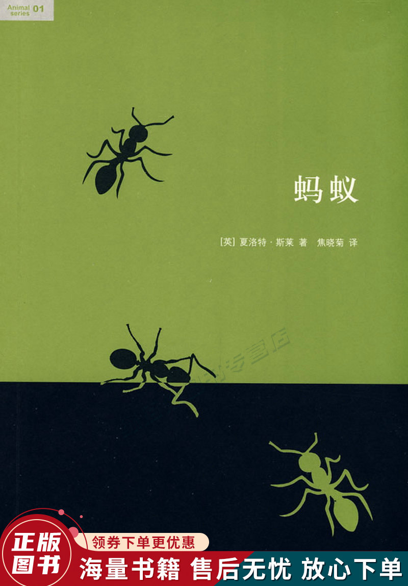 蚂蚁
