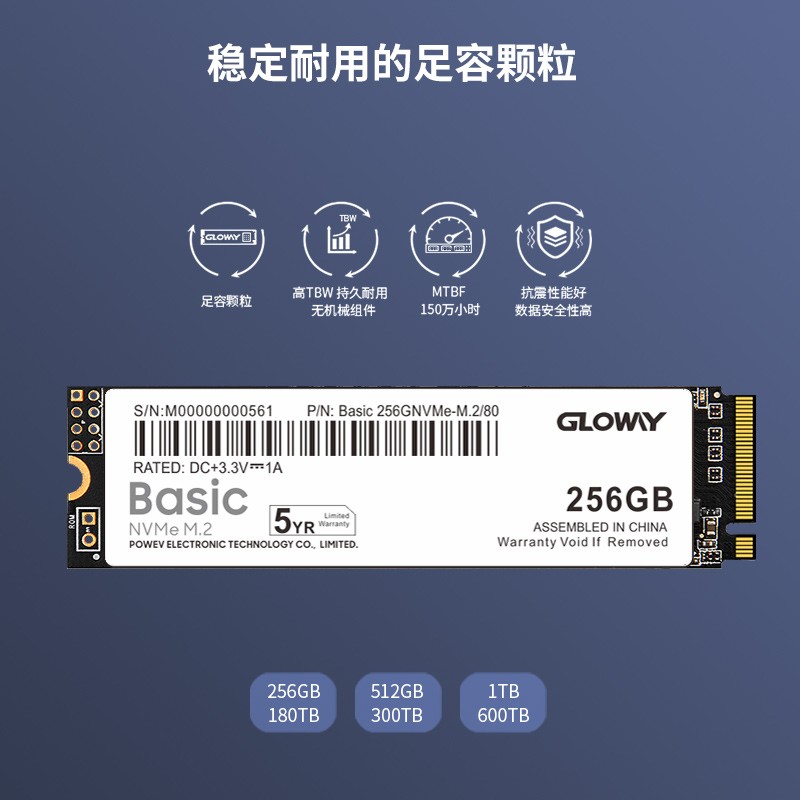 光威（Gloway）256GB SSD固态硬盘 M.2接口(NVMe协议) Basic系列-基础版/五年质保