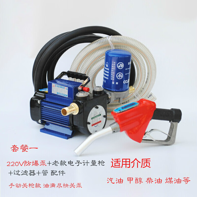 電動抽油泵12V24V220V汽油柴油加油泵車載防爆輸油泵手提式抽油機WM. 220V防爆泵+老款電子槍套餐