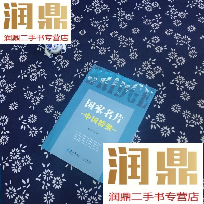 【二手九成新】国家名片:中国桥梁