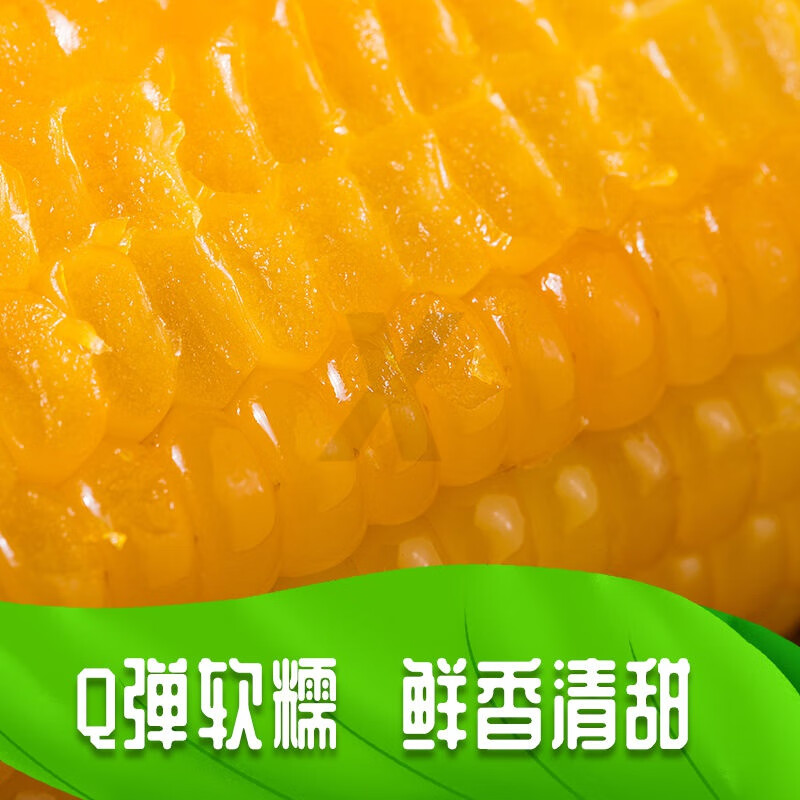 食芳溢析芮东北香甜糯玉米棒真空包装糯米玉米粘玉米黏玉米白糯玉米即食 8根黄糯玉米