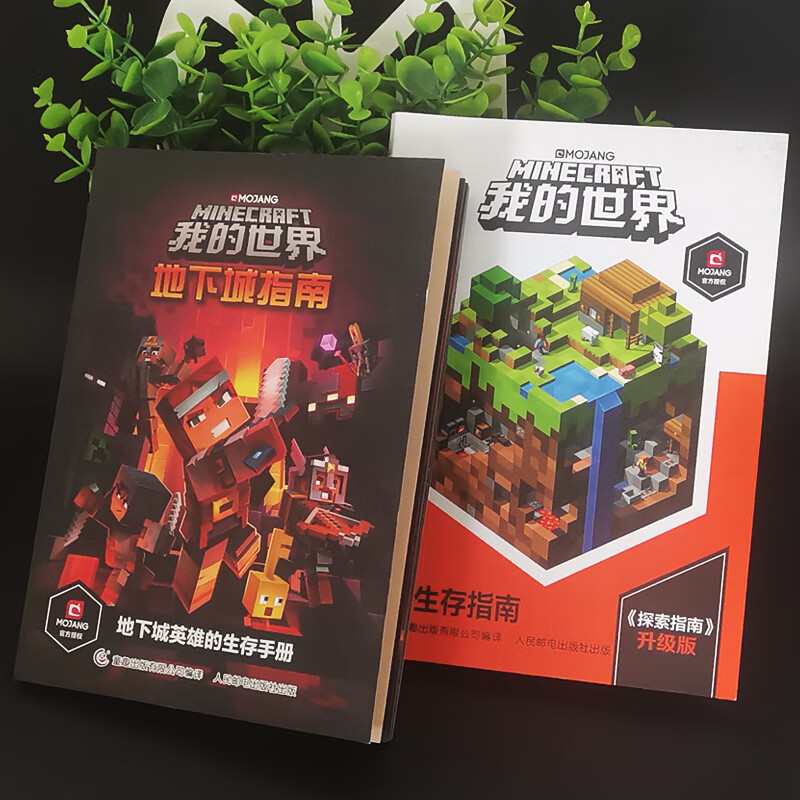 2册我的世界地下城指南生存指南6-7-9岁小学生冒险故事图画书乐高游戏
