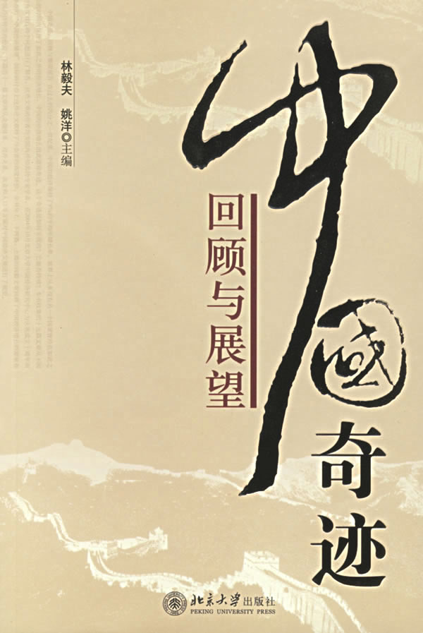 中国奇迹:回顾与展望【正版书籍】