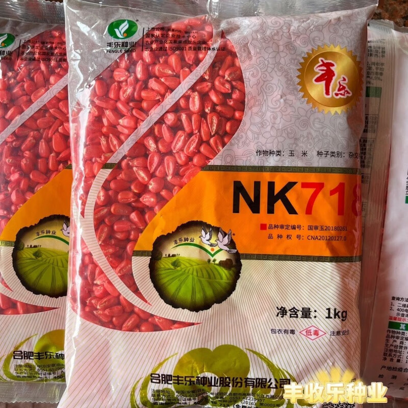 nk718 穗轴白色籽粒黄花半马齿轮杂交玉米南北方苞谷种耐旱 nk718  一