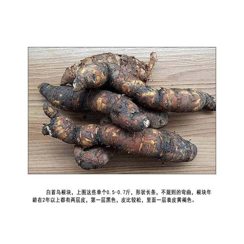 北京同仁堂原料湖南中药材隔山消现挖白首乌隔山撬茎块飞来鹤草药新鲜