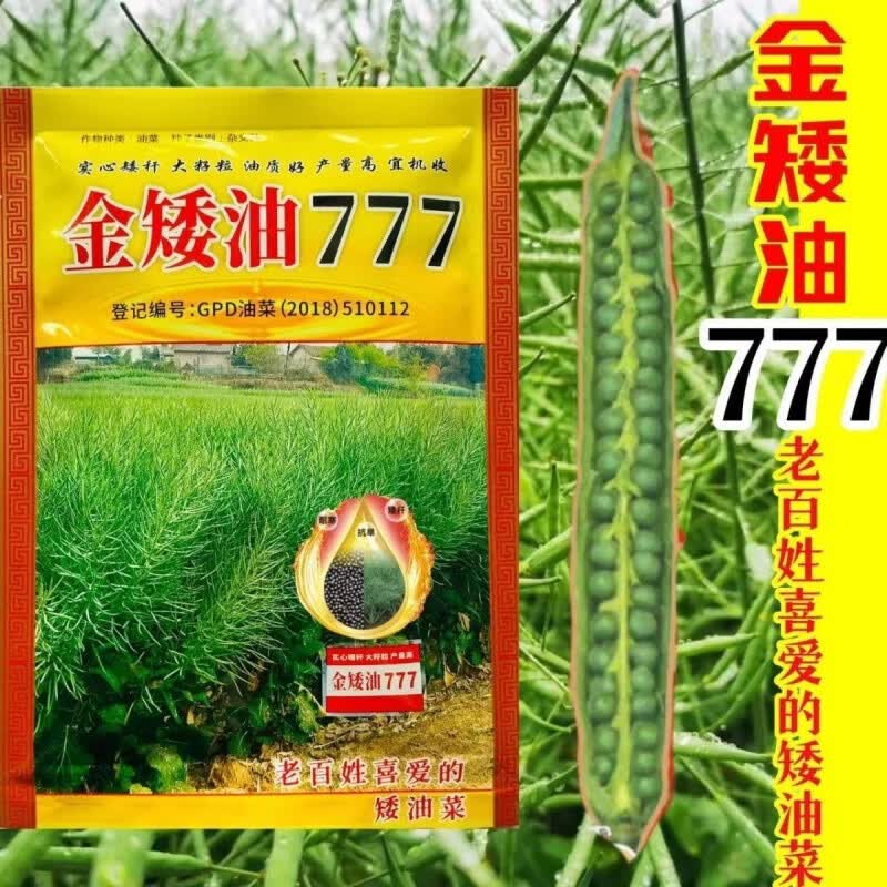 矮杆油菜种子金矮油777抗倒伏抗病出油高适广性强秋播油菜孑 金矮油777原装80克1包】DC高性价比高么？