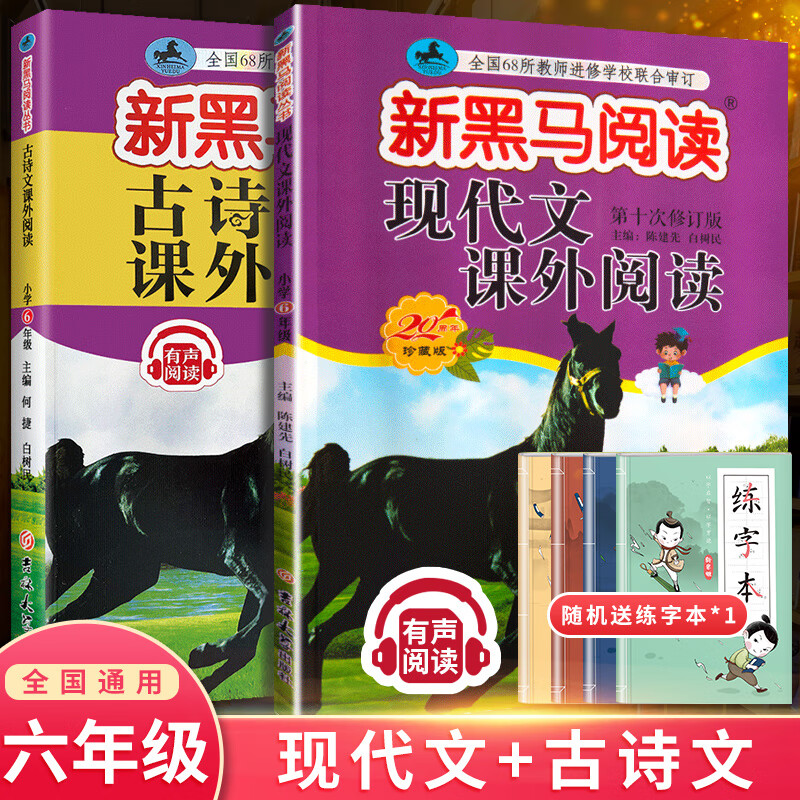 2023版六年级英语阅读理解训练全一册第