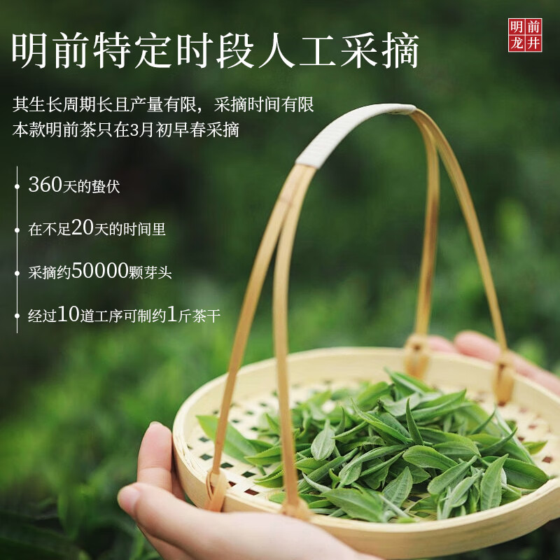 沐龙春2024新茶明前龙井茶叶250g礼盒装高档绿茶送礼长辈领导端午送礼
