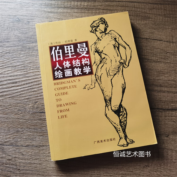 伯里曼人体结构绘画教学 零基础素描基础教程 人体形态基础入门