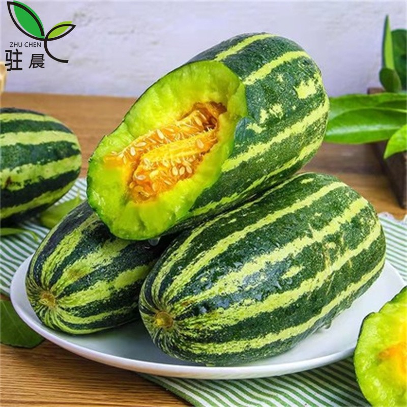 驻晨(zhuchen)山东博洋9号甜瓜头茬香瓜时令新鲜水果 5斤