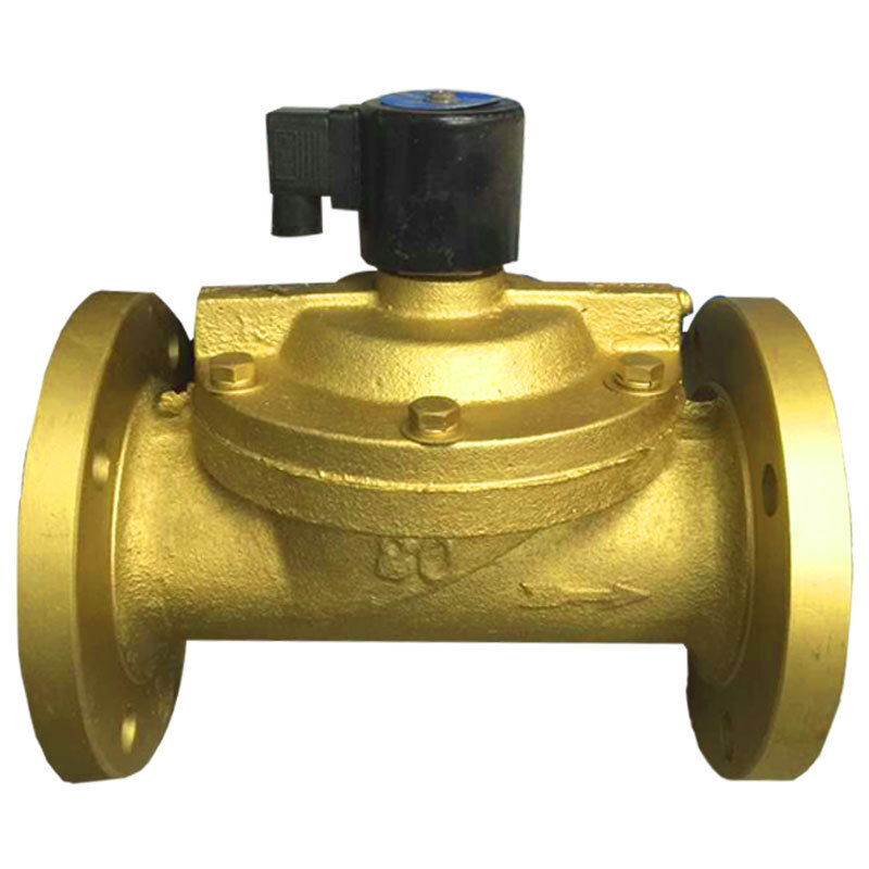 澳颜莱电磁阀铸铁电磁阀水用电磁阀先导式电磁阀dn40 50 65 80 100