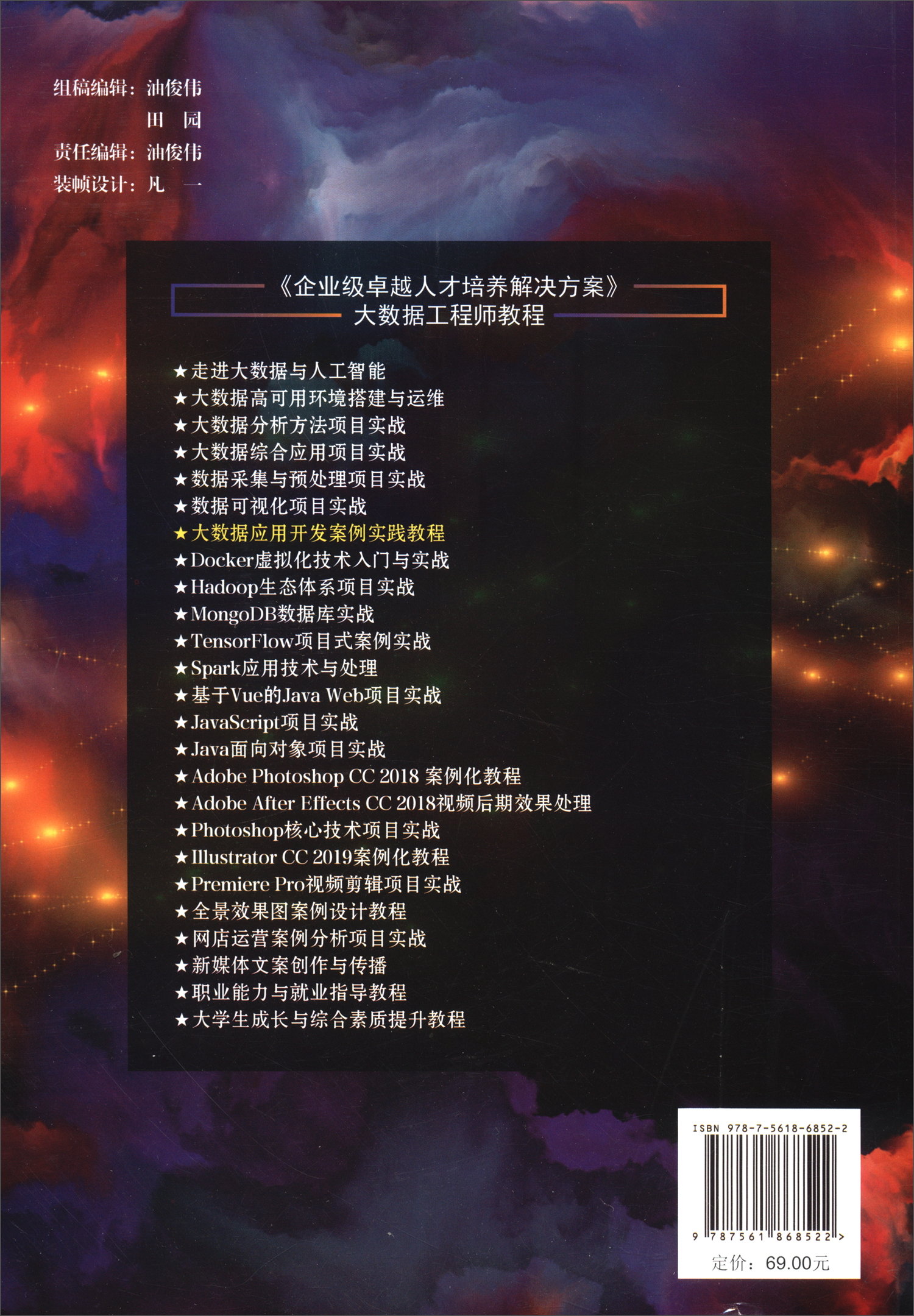2021版（新版）大数据应用开发案例实践教程详情图