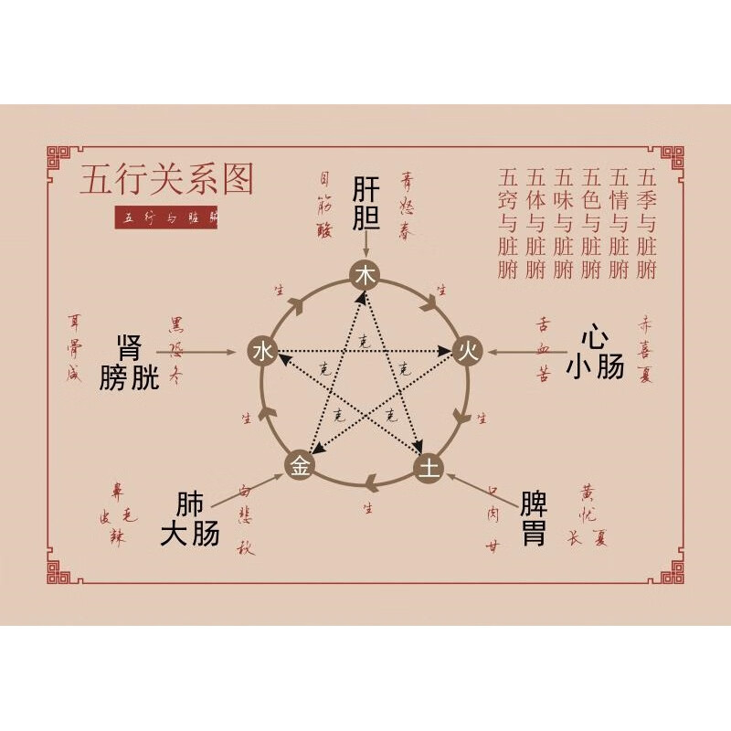中医五行生克图 中医养生馆五行图解挂图挂画定制 人体五行五脏相 01