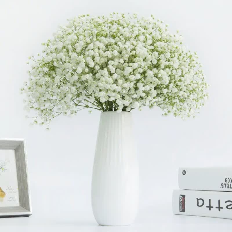 基地直发 满天星干花 鲜花按斤卖勿忘我真花情人草水晶永生花 白色a级